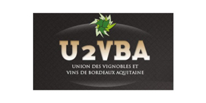 U2VBA